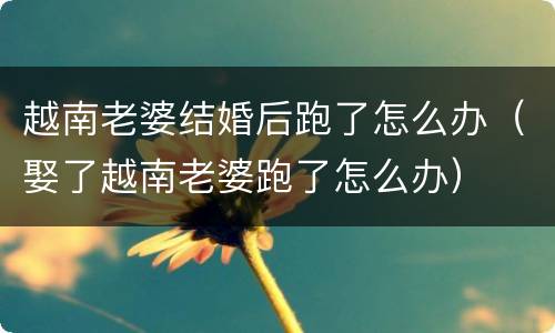 越南老婆结婚后跑了怎么办（娶了越南老婆跑了怎么办）