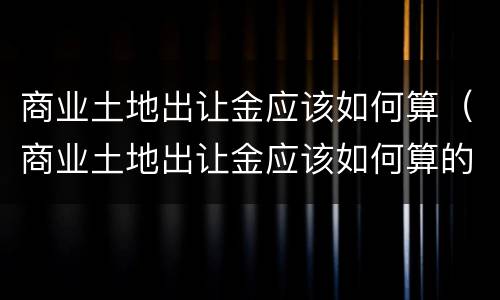 商业土地出让金应该如何算（商业土地出让金应该如何算的）