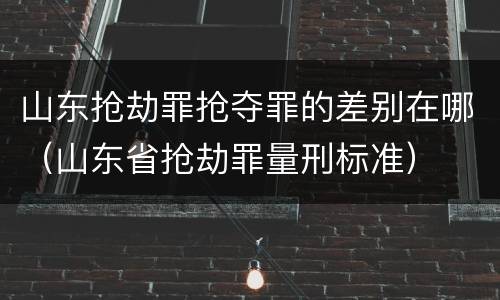 山东抢劫罪抢夺罪的差别在哪（山东省抢劫罪量刑标准）