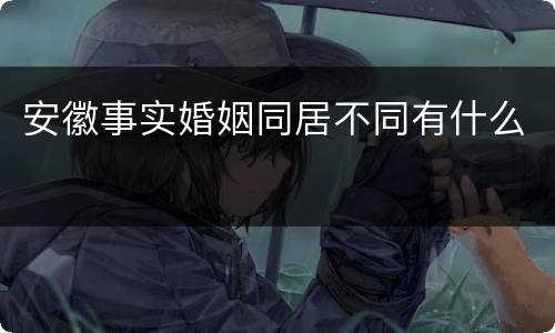 安徽事实婚姻同居不同有什么