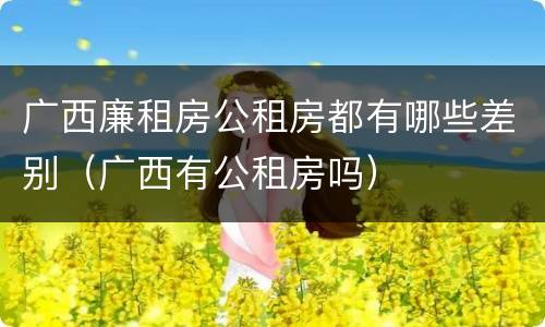 广西廉租房公租房都有哪些差别（广西有公租房吗）
