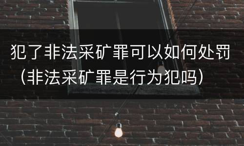 犯了非法采矿罪可以如何处罚（非法采矿罪是行为犯吗）