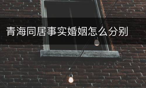 青海同居事实婚姻怎么分别