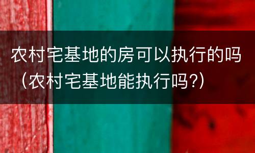 农村宅基地的房可以执行的吗（农村宅基地能执行吗?）