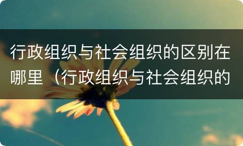 行政组织与社会组织的区别在哪里（行政组织与社会组织的区别在哪里呢）