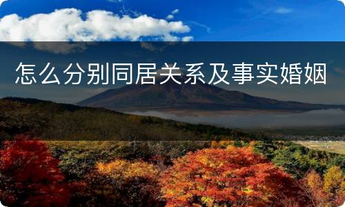 怎么分别同居关系及事实婚姻