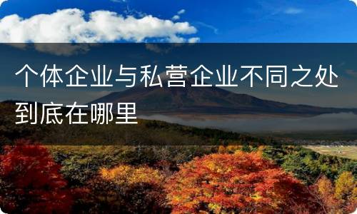 个体企业与私营企业不同之处到底在哪里