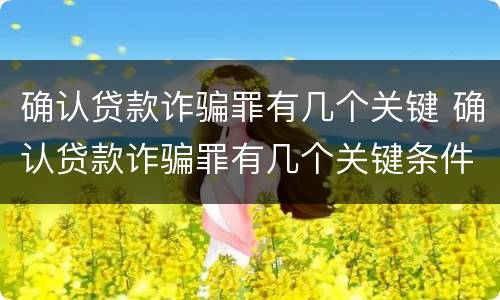 确认贷款诈骗罪有几个关键 确认贷款诈骗罪有几个关键条件