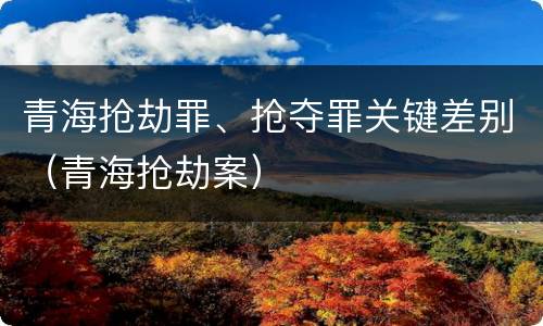 青海抢劫罪、抢夺罪关键差别（青海抢劫案）