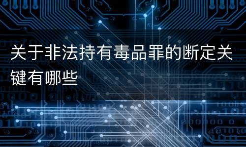 关于非法持有毒品罪的断定关键有哪些