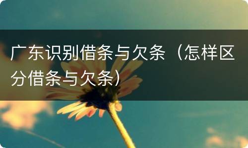 广东识别借条与欠条（怎样区分借条与欠条）