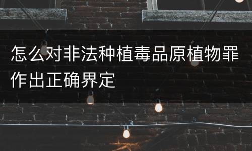 怎么对非法种植毒品原植物罪作出正确界定