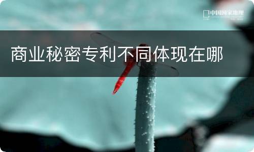 商业秘密专利不同体现在哪
