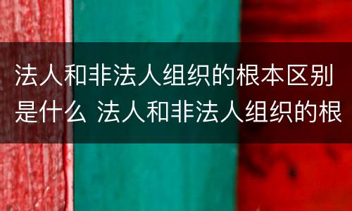 法人和非法人组织的根本区别是什么 法人和非法人组织的根本区别是什么意思