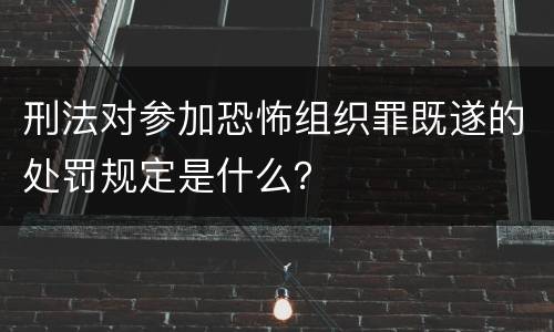 刑法对参加恐怖组织罪既遂的处罚规定是什么？