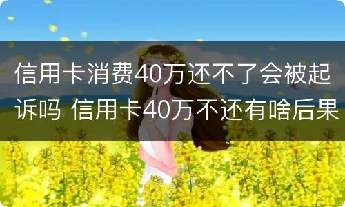信用卡消费40万还不了会被起诉吗 信用卡40万不还有啥后果