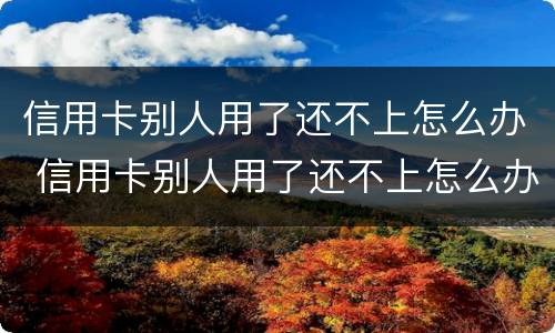 信用卡别人用了还不上怎么办 信用卡别人用了还不上怎么办呢
