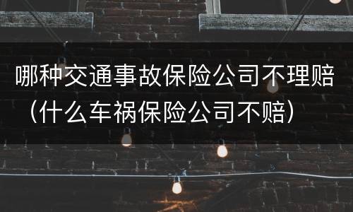 哪种交通事故保险公司不理赔（什么车祸保险公司不赔）