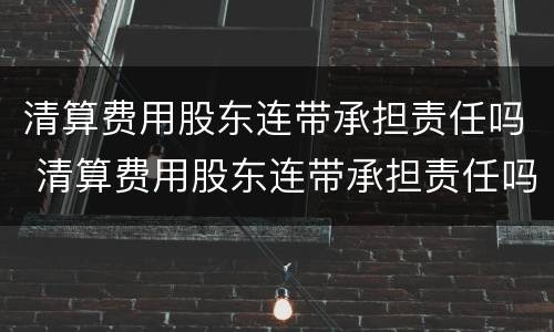 清算费用股东连带承担责任吗 清算费用股东连带承担责任吗合法吗