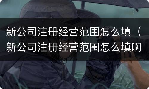 新公司注册经营范围怎么填（新公司注册经营范围怎么填啊）