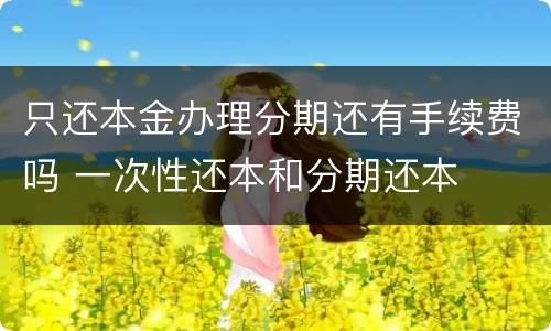 只还本金办理分期还有手续费吗 一次性还本和分期还本