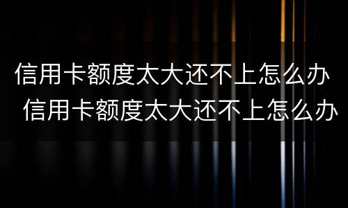信用卡额度太大还不上怎么办 信用卡额度太大还不上怎么办呢