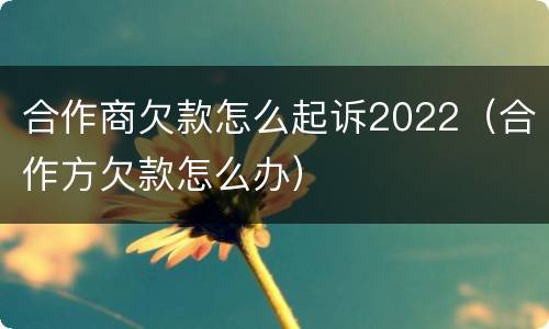 合作商欠款怎么起诉2022（合作方欠款怎么办）