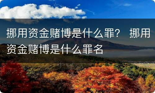 挪用资金赌博是什么罪？ 挪用资金赌博是什么罪名