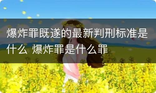 爆炸罪既遂的最新判刑标准是什么 爆炸罪是什么罪