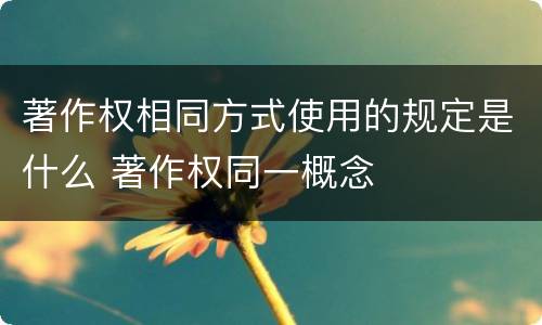 著作权相同方式使用的规定是什么 著作权同一概念