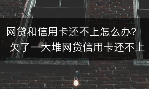 网贷和信用卡还不上怎么办？ 欠了一大堆网贷信用卡还不上