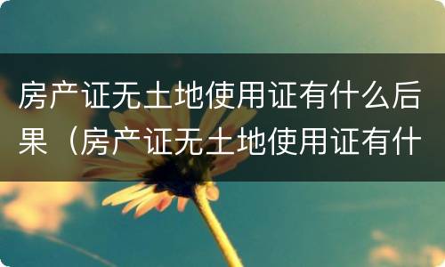 房产证无土地使用证有什么后果（房产证无土地使用证有什么后果吗）