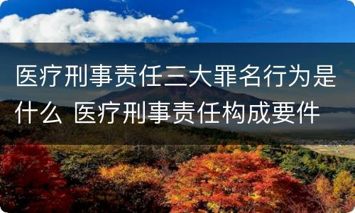 医疗刑事责任三大罪名行为是什么 医疗刑事责任构成要件