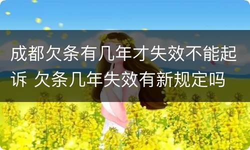 成都欠条有几年才失效不能起诉 欠条几年失效有新规定吗