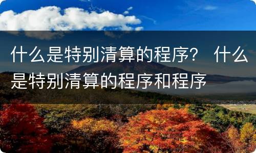 什么是特别清算的程序？ 什么是特别清算的程序和程序