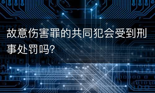 故意伤害罪的共同犯会受到刑事处罚吗？