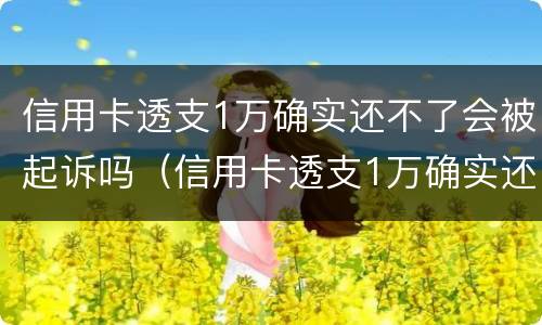 信用卡透支1万确实还不了会被起诉吗（信用卡透支1万确实还不了会被起诉吗怎么办）