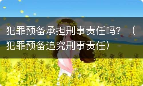 犯罪预备承担刑事责任吗？（犯罪预备追究刑事责任）