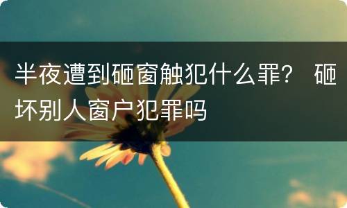 半夜遭到砸窗触犯什么罪？ 砸坏别人窗户犯罪吗