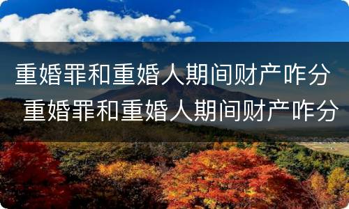 重婚罪和重婚人期间财产咋分 重婚罪和重婚人期间财产咋分配的