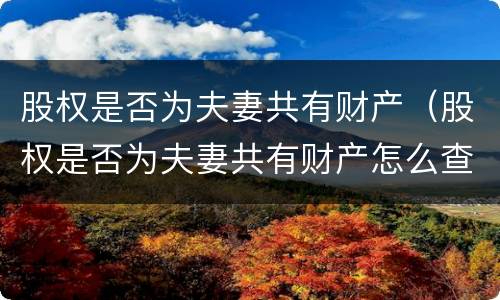 股权是否为夫妻共有财产（股权是否为夫妻共有财产怎么查）