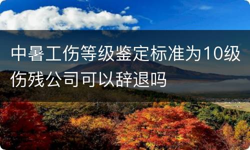 中暑工伤等级鉴定标准为10级伤残公司可以辞退吗