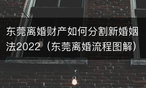 东莞离婚财产如何分割新婚姻法2022（东莞离婚流程图解）