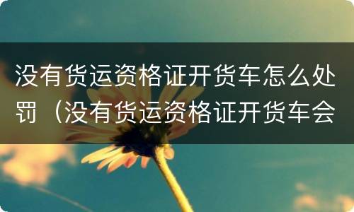 没有货运资格证开货车怎么处罚（没有货运资格证开货车会怎么样）