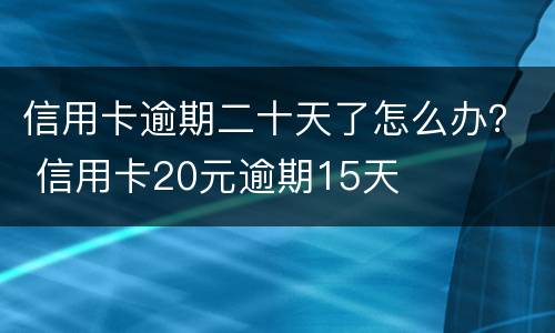信用卡逾期二十天了怎么办？ 信用卡20元逾期15天