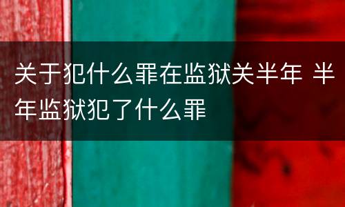关于犯什么罪在监狱关半年 半年监狱犯了什么罪