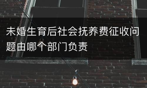 未婚生育后社会抚养费征收问题由哪个部门负责