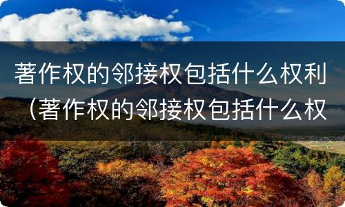 著作权的邻接权包括什么权利（著作权的邻接权包括什么权利）