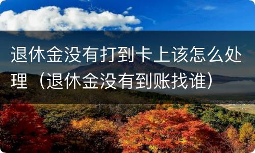 退休金没有打到卡上该怎么处理（退休金没有到账找谁）