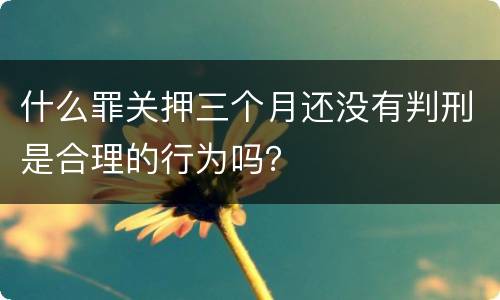 什么罪关押三个月还没有判刑是合理的行为吗？